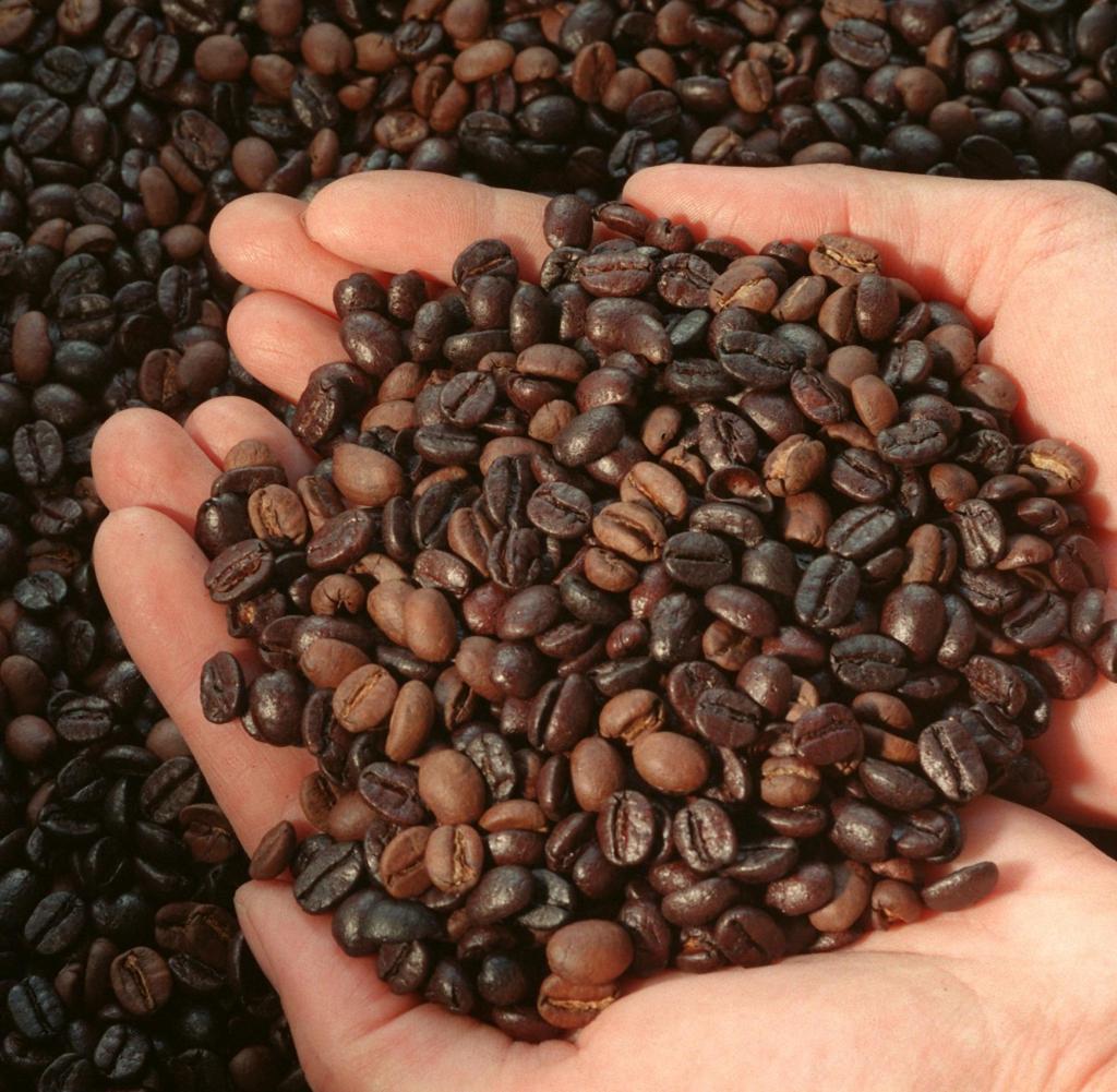 Espresso Tamu