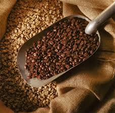 ORGANIC Bragg Creek Blend